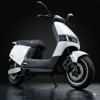 Taurus white color artwork
